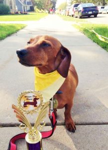 Buddy race champ in Monroe WI